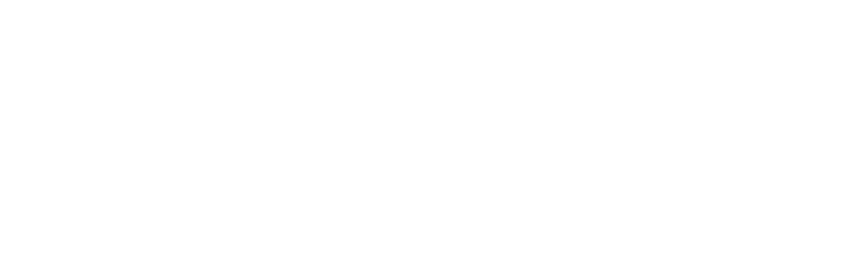 FOX channel logo