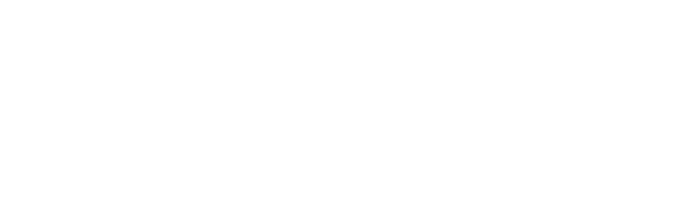 USA Network logo