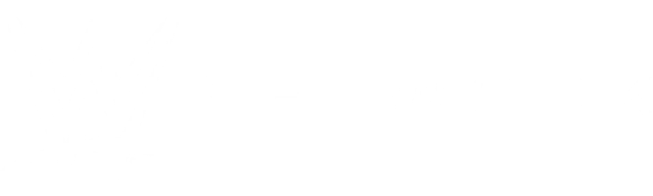 wwe network